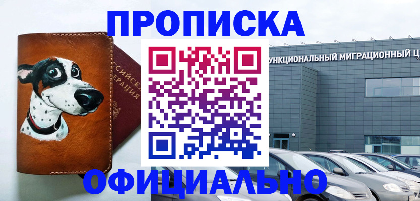 временная прописка в Мурманской области